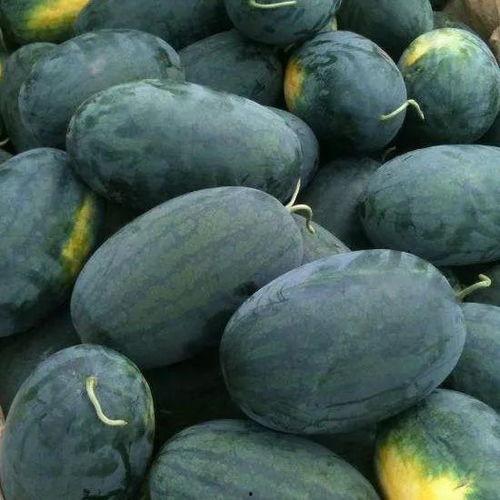 星野吃瓜黑料,揭秘娱乐圈背后的黑料风云