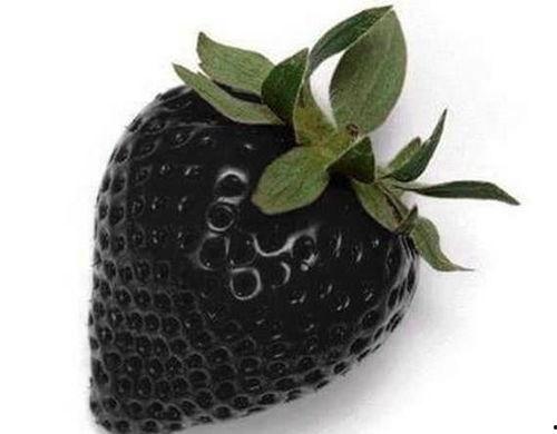 国产精品黑料吃瓜