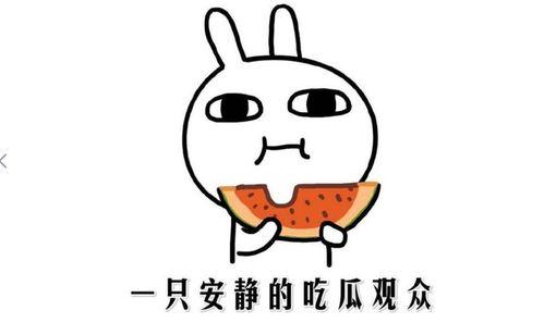 快手网红吃瓜黑料,吃瓜黑料背后的真相与反思